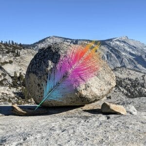 The Tale of the Feather of a Bee Hummingbird and a Glacial Boulder